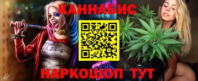 СК Кингисепп