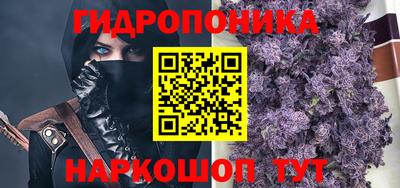 СК Кингисепп