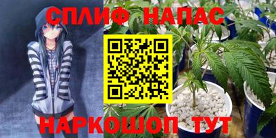 СК Кингисепп