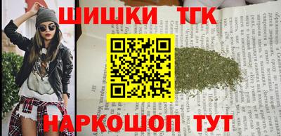 СК Кингисепп