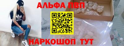 СК Кингисепп