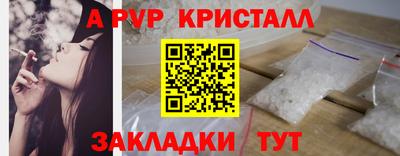 СК Кингисепп