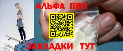 СК Кингисепп
