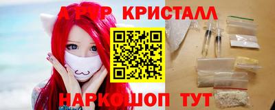 СК Кингисепп